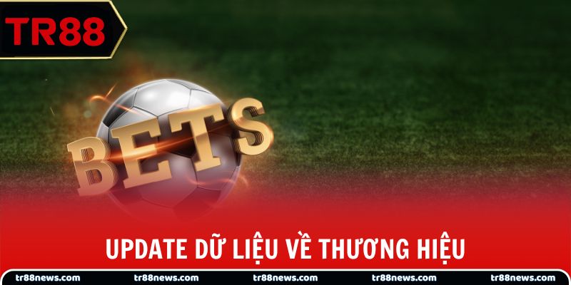 Update dữ liệu về thương hiệu